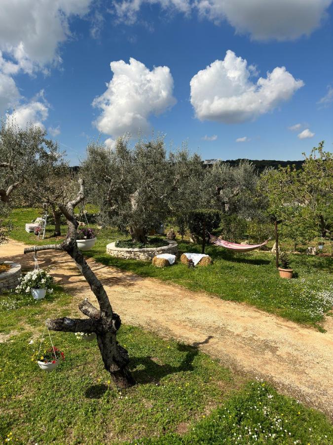 Trulli Barsento Guest House Alberobello Exterior foto