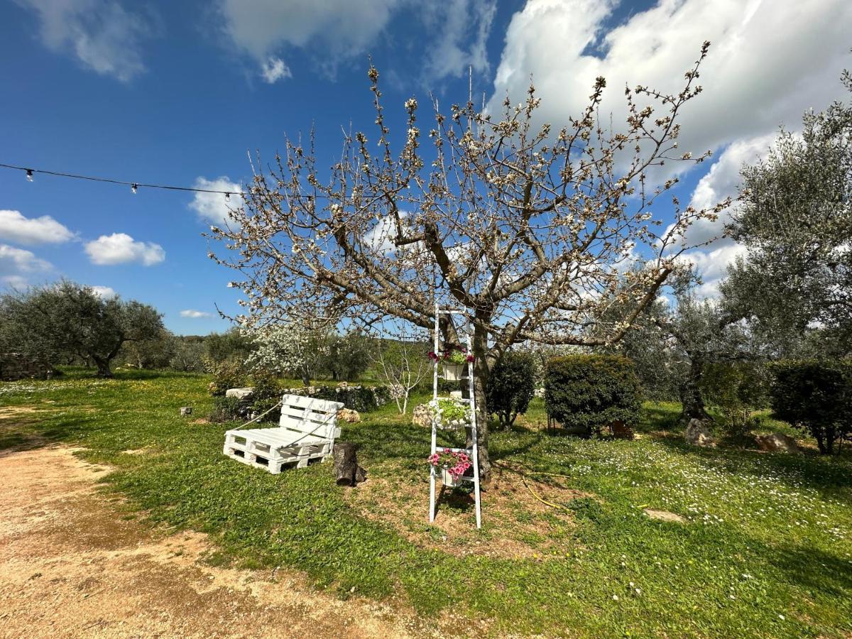 Trulli Barsento Guest House Alberobello Exterior foto